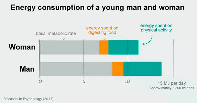 energy consumption metabolism